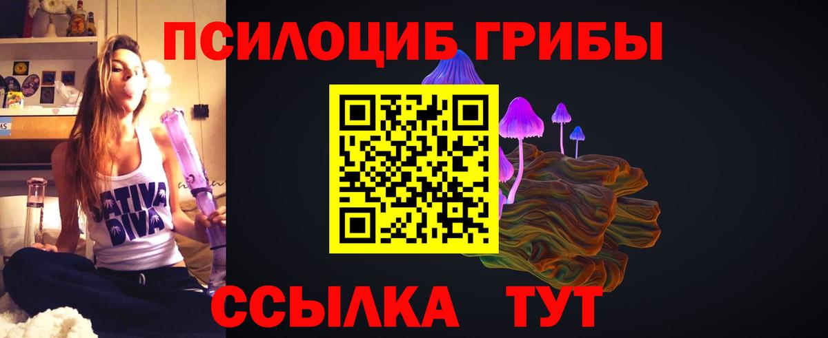 Псилоцибиновые грибы мицелий Магнитогорск